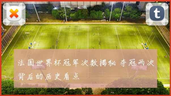 法国世界杯冠军次数揭秘 夺冠两次背后的历史看点