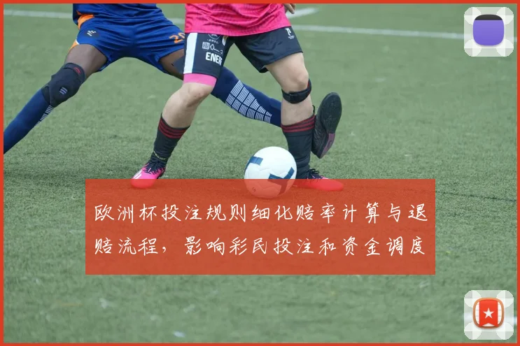 欧洲杯投注规则细化赔率计算与退赔流程，影响彩民投注和资金调度