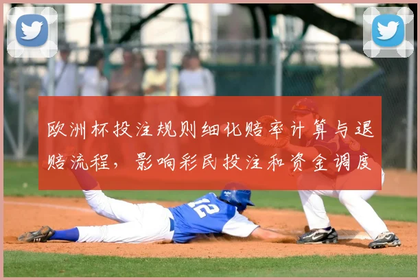 欧洲杯投注规则细化赔率计算与退赔流程，影响彩民投注和资金调度