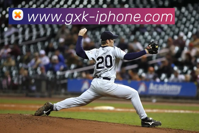 App Interface Preview